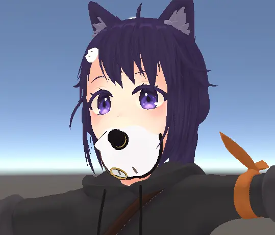 Tushi_Startup_Position